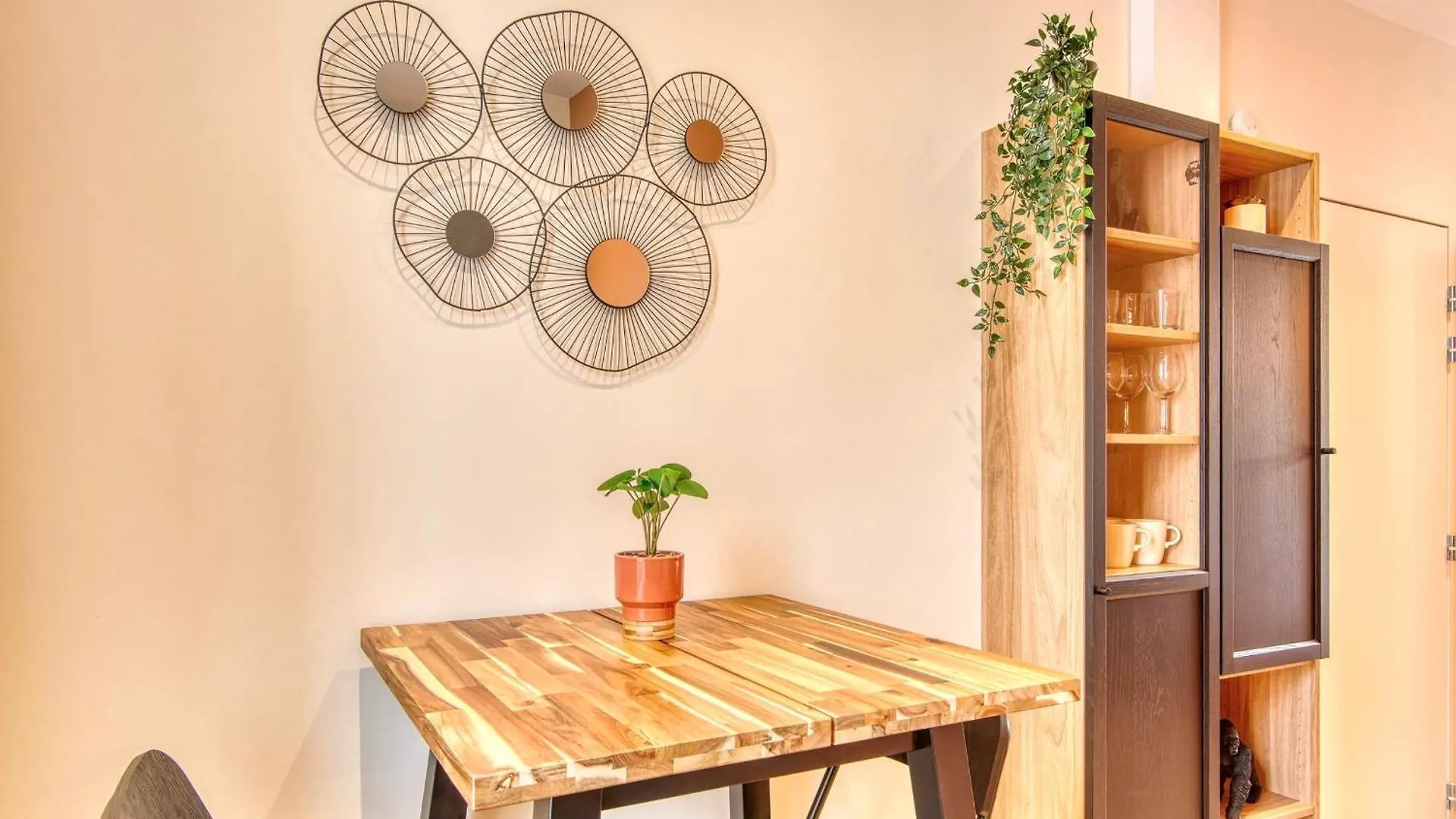 Apartment L'Oasis - Bel Appart Climatise Quartier Point Du Jour Lyon 5